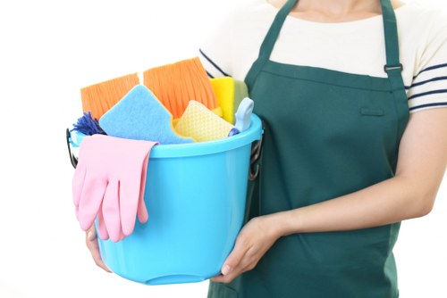 Professional rug cleaning service for homes in Hammersmith