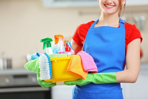 Local oven cleaning for flats and homes in Hammersmith