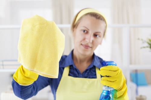 Professional oven cleaning in Hammersmith with a spotless kitchen appliance