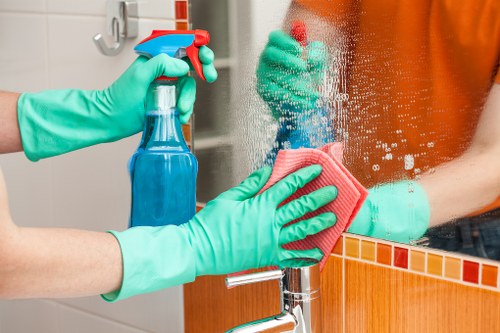 Local upholstery cleaner working in a Hammersmith flat