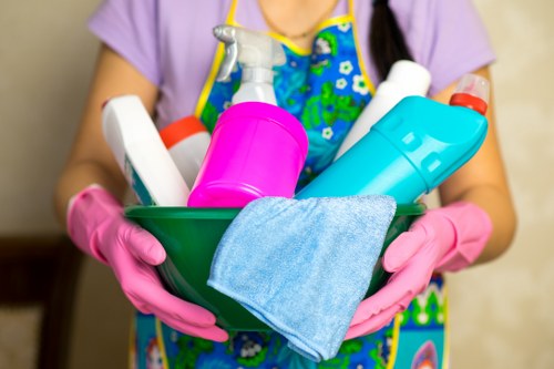 Professional home cleaners working in a Hammersmith flat