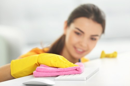 House cleaning visit for a busy home near Hammersmith