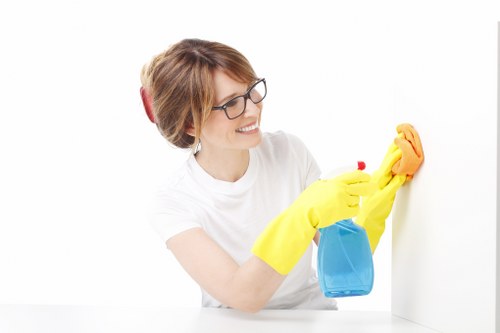 Accessibility support for oven cleaning content in Hammersmith