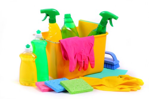 Local cleaners working in a Hammersmith flat and shared property
